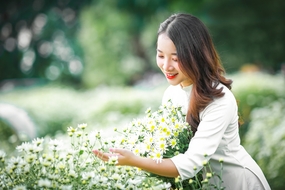 白色雏菊花海摘花的美女图片